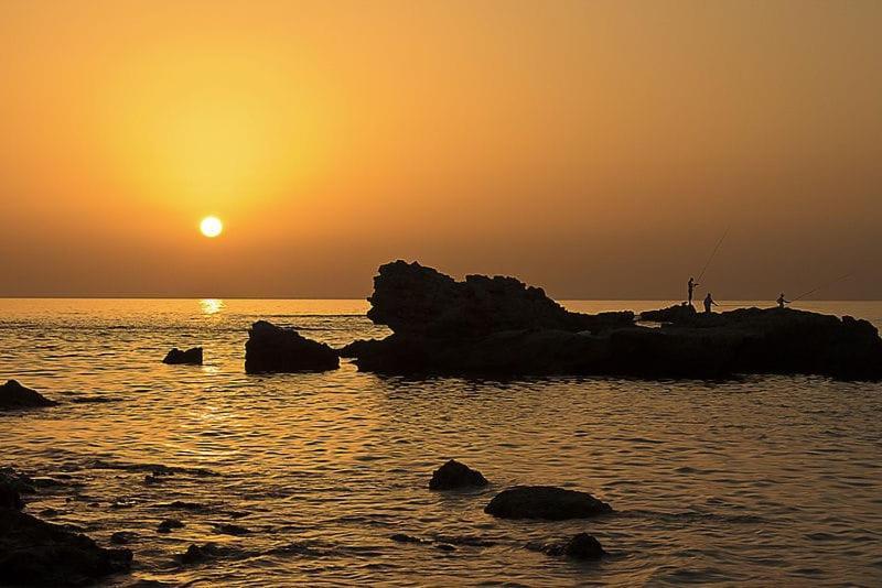 Suite Paradise - D111 Caesarea Ngoại thất bức ảnh